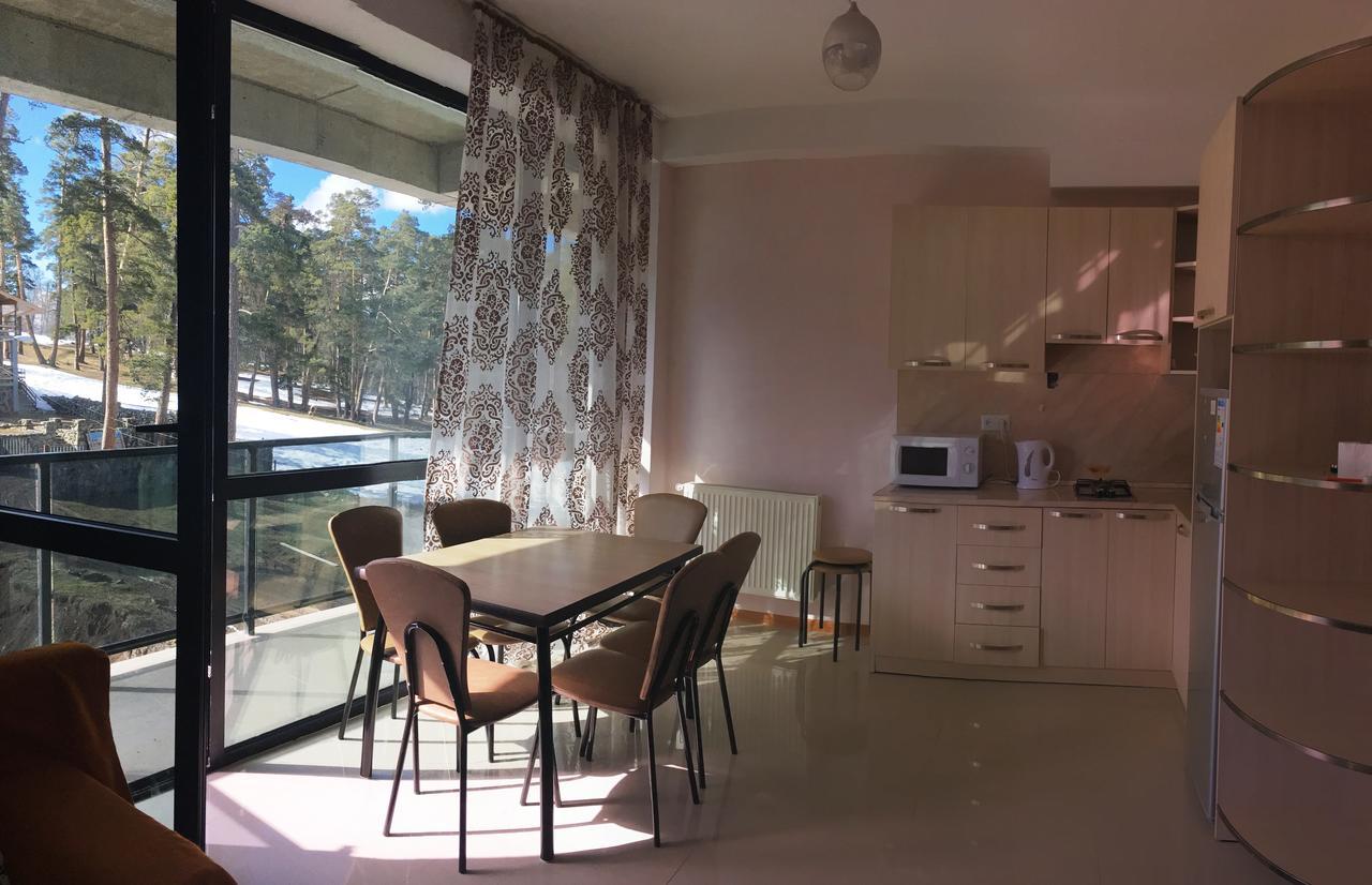 Apart 516 Bobline Bakuriani Exteriér fotografie
